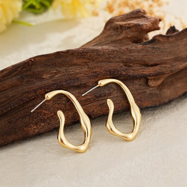 Irregular Shaped Minimalist Earrings For Women