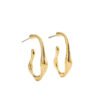 Irregular Shaped Minimalist Earrings For Women