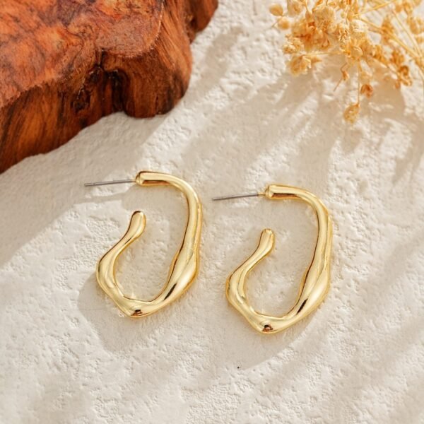 Irregular Shaped Minimalist Earrings For Women